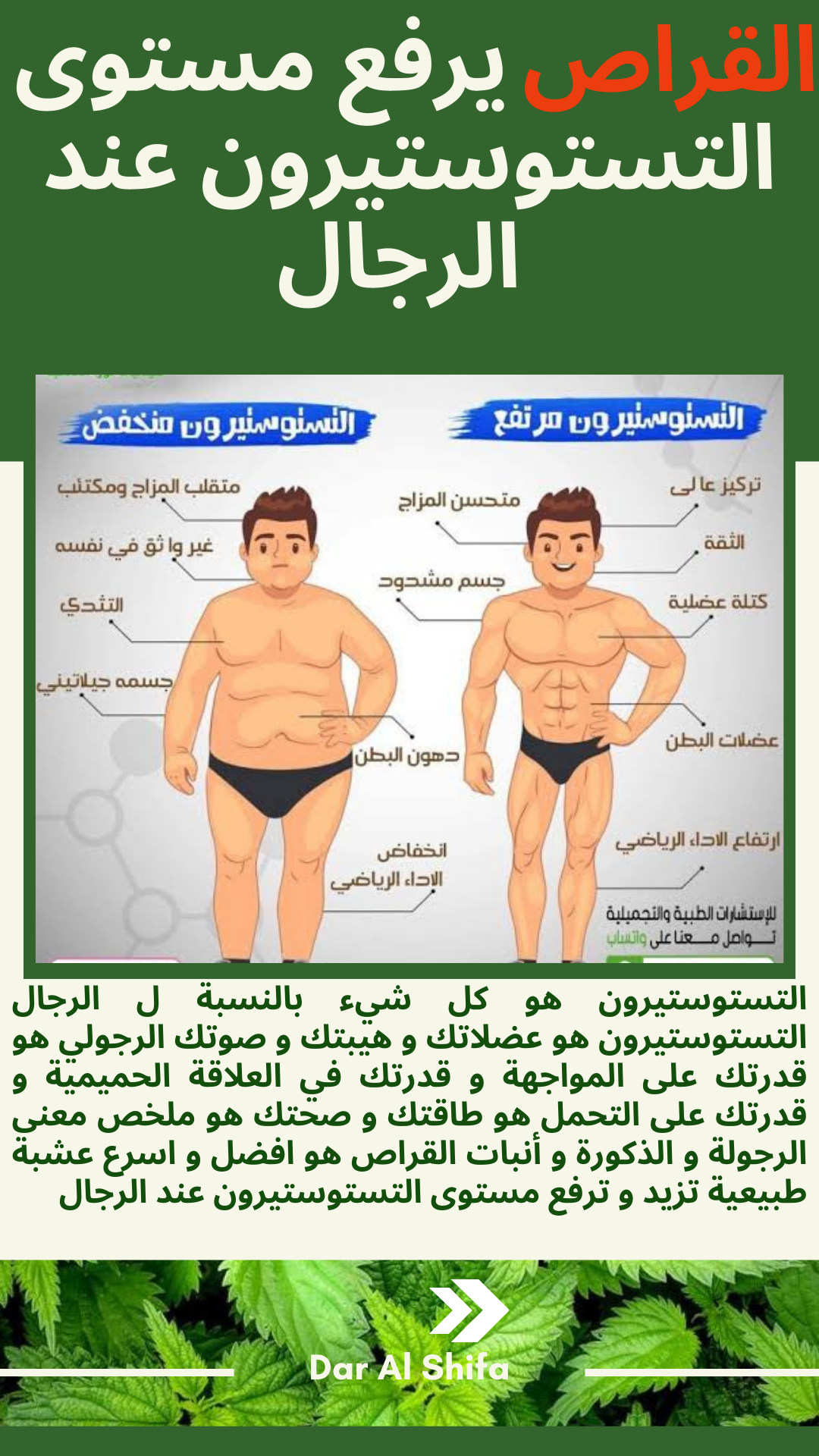 القراص