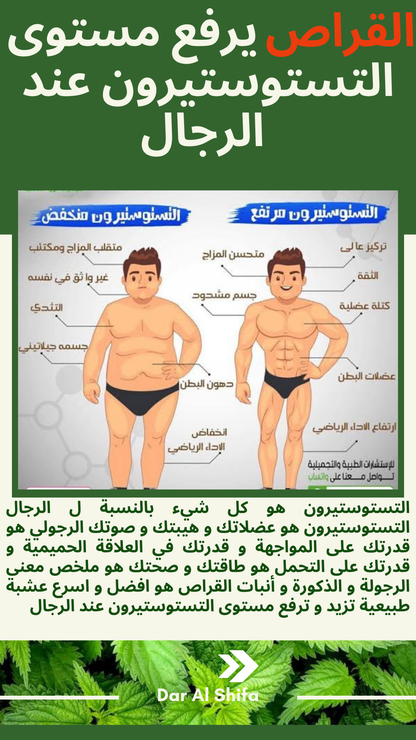 القراص